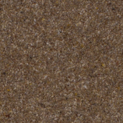 Brown Carpet Remnants