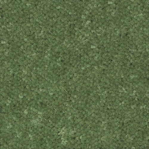 Green Carpet Remnants